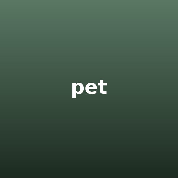 Pet Friendly